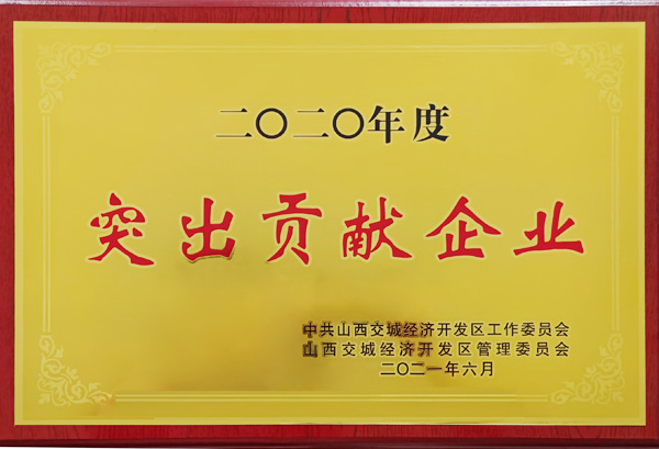 2020突出貢獻(xiàn)獎(jiǎng)