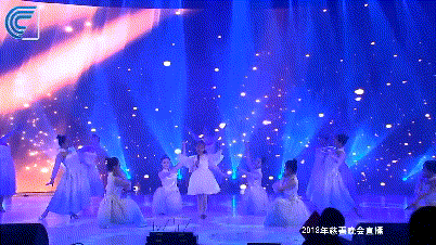 華鑫獻(xiàn)力“點(diǎn)亮慈善之光·助力精準(zhǔn)扶貧”慈善晚會(圖3)