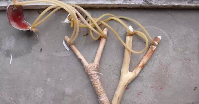 分享愛(ài)心，眾享溫情——華鑫集團(tuán)工會(huì)開(kāi)展“六一獻(xiàn)愛(ài)心”活動(dòng)(圖64)